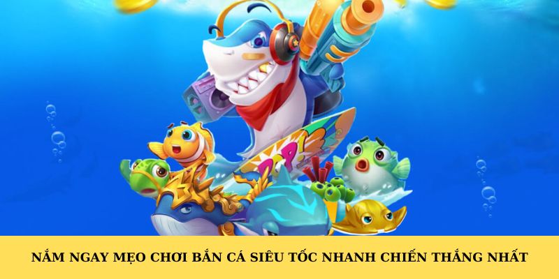 Nắm ngay mẹo chơi bắn cá siêu tốc nhanh chiến thắng nhất