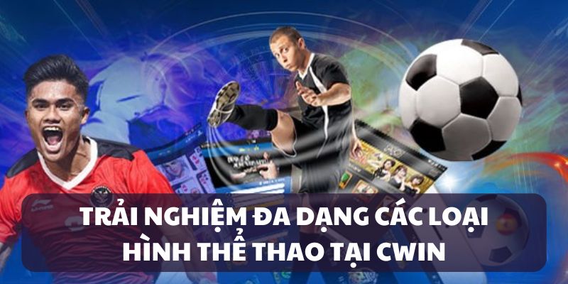 Các loại hình thể thao